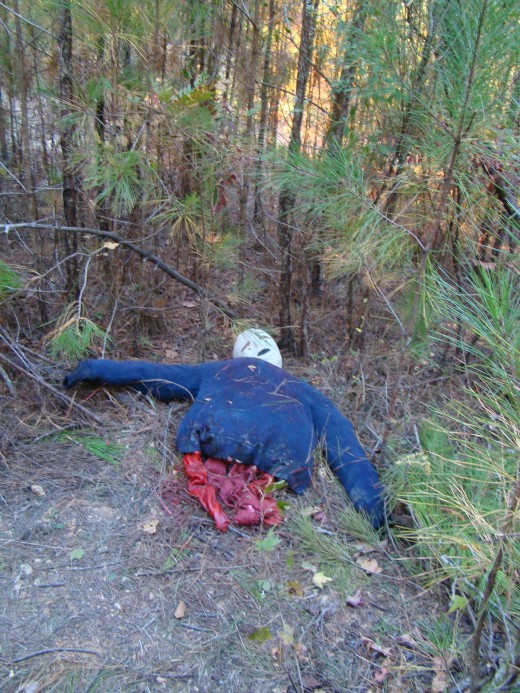 Here's another scene along our haunted Halloween walk last year.