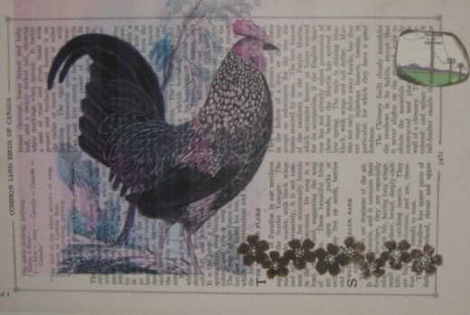 Vintage book page printed with rooster and a dictionary page cut out added. Stamped flowers at the bottom.