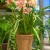 Rope Crafts include this rope-covered flower pot. Photo Credit: MarthaStewart.com. Rope Crafts include this rope-covered flower pot. Photo Credit: MarthaStewart.com.