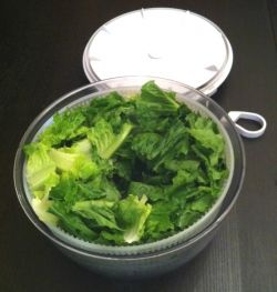 Lettuce Preparation - Ultimate Caesar Salad Recipe