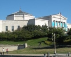 Highlights of the Shedd Aquarium: A Chicago Family Day Trip