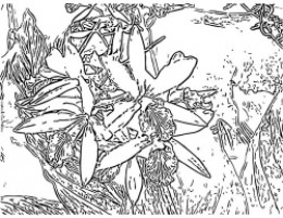 One of the coloring pages available to download below. One of the coloring pages available to download below.
