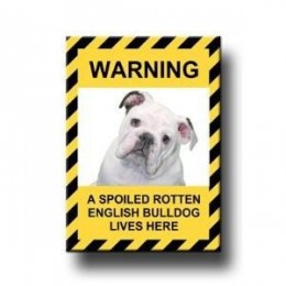 Funny Dog Signs