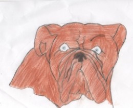 Free bulldog coloring pages
