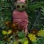 Zombi Baby Zombi Baby