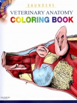 Saunders Veterinary Anatomy Coloring Book | HubPages