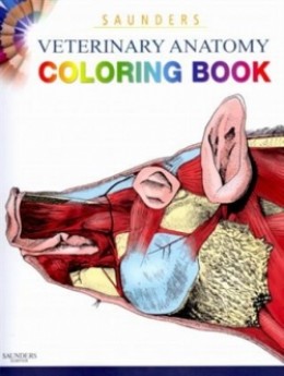 Download Saunders Veterinary Anatomy Coloring Book | HubPages