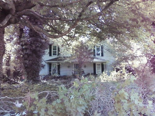 This is what the house looks like from the street in the summer time. If you didn't know it was there then would never see it as you drive by.