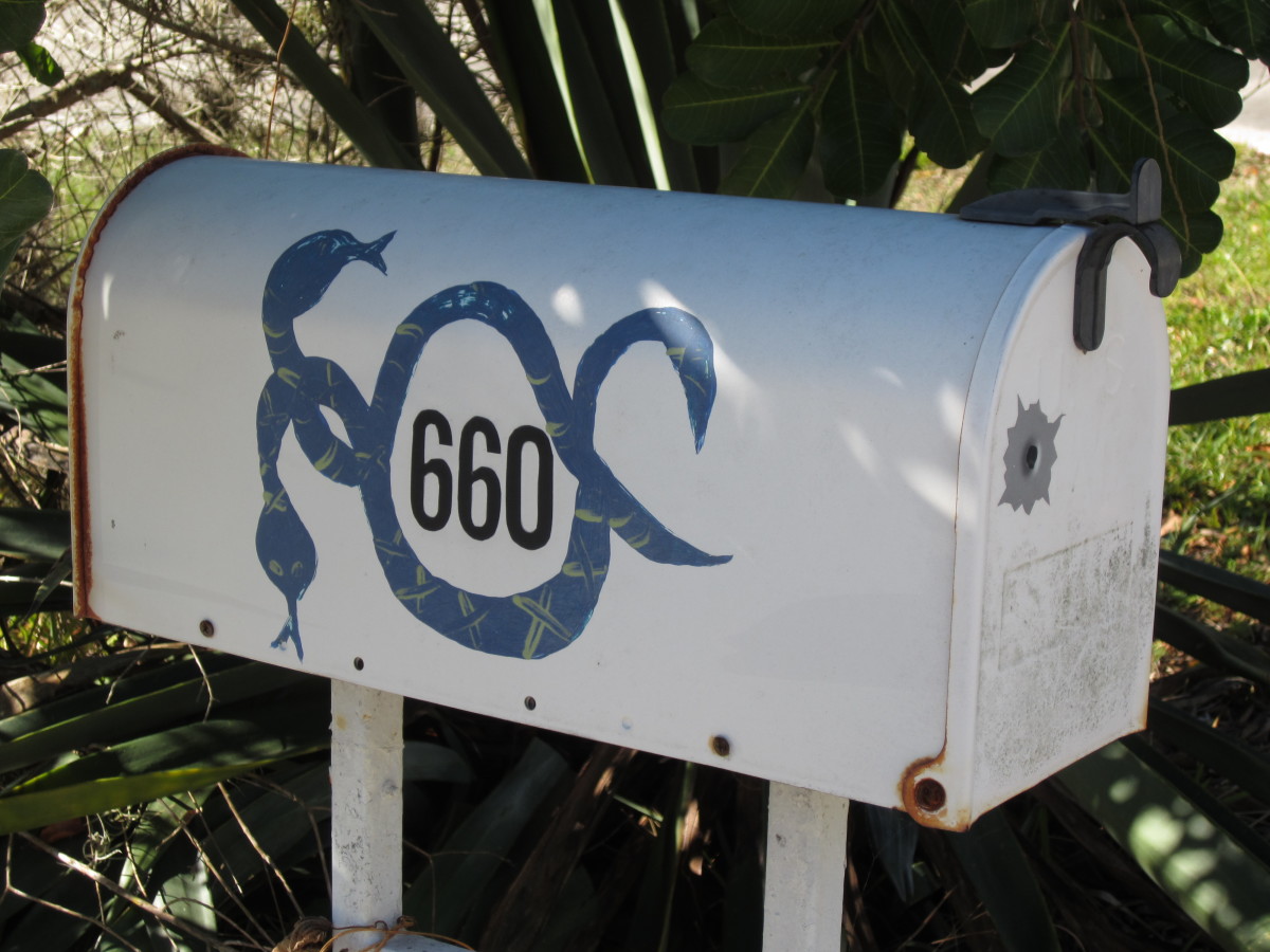 This mailbox seems to be sending out a false message to wayward, homeless reptiles; advertising itself as some sort of roadside snake motel.