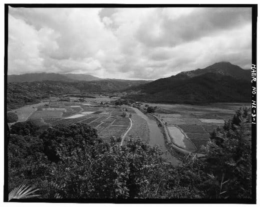 Haraguchi Rice Mill with Hanalei River running through it