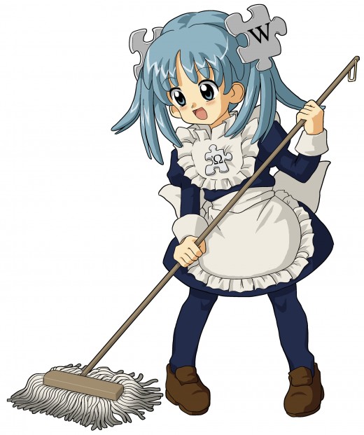 Efficient house cleaning has developed into an area of specialization.