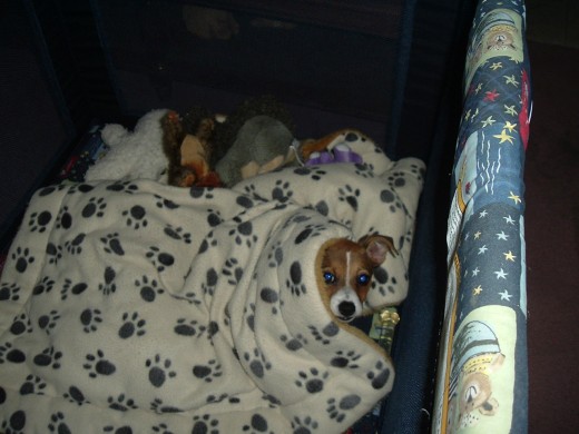 It started with a playpen