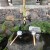 From the melted snow on top of Mt. Fuji, It takes many years to reach Japan's natural fountains such as this one. From the melted snow on top of Mt. Fuji, It takes many years to reach Japan's natural fountains such as this one.