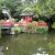A beautiful garden on temple grounds. A beautiful garden on temple grounds.