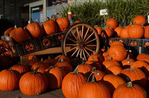 You and your children can have a lot of fun going to a pumpkin patch to pick out a pumpkin to make a Jack O Lantern. 