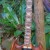 An SG clone I assembled and set up An SG clone I assembled and set up
