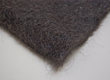 Close Up of a Hairmat