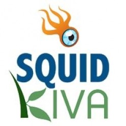 SquidKiva - A Kiva Community for Squidoo Lensmasters