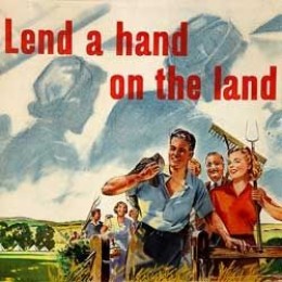 Lessons from a wartime teenager