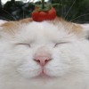 HaydenAlexander profile image