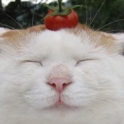 HaydenAlexander profile image