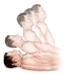 https://usercontent1.hubstatic.com/11833956_f260.jpg