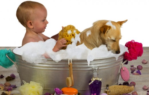 Keeping your pet's nails trimmed smoothly with an Electric Nail Trimmer keeps your pet healthy and protects little ones from scratches