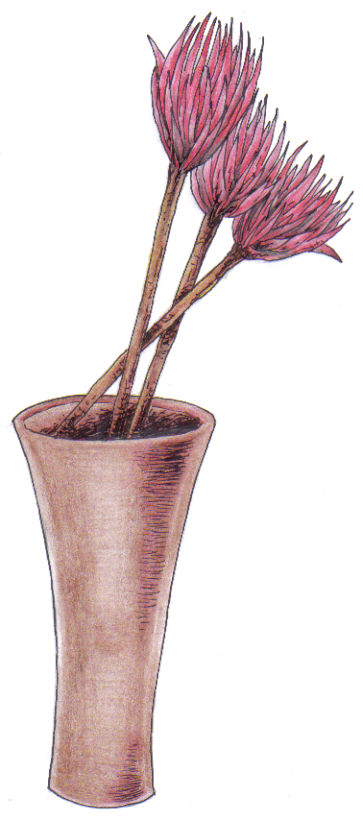 The colour has been added here with a combination of watercolour ink and watercolour pencils.