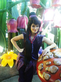 Disney Fairies Costumes for Halloween