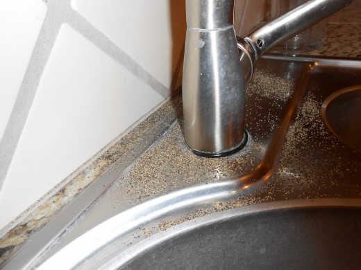 Ants looking for water are attracted to faucets.  Black pepper keeps them away.