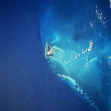 Satellite image, North Bimini Island