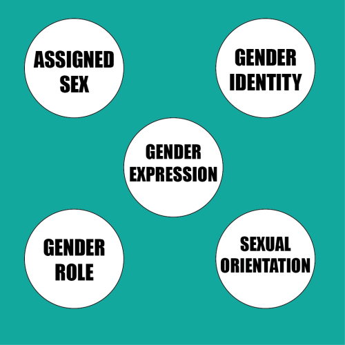 All of these are separate facets of identity and DO NOT overlap!