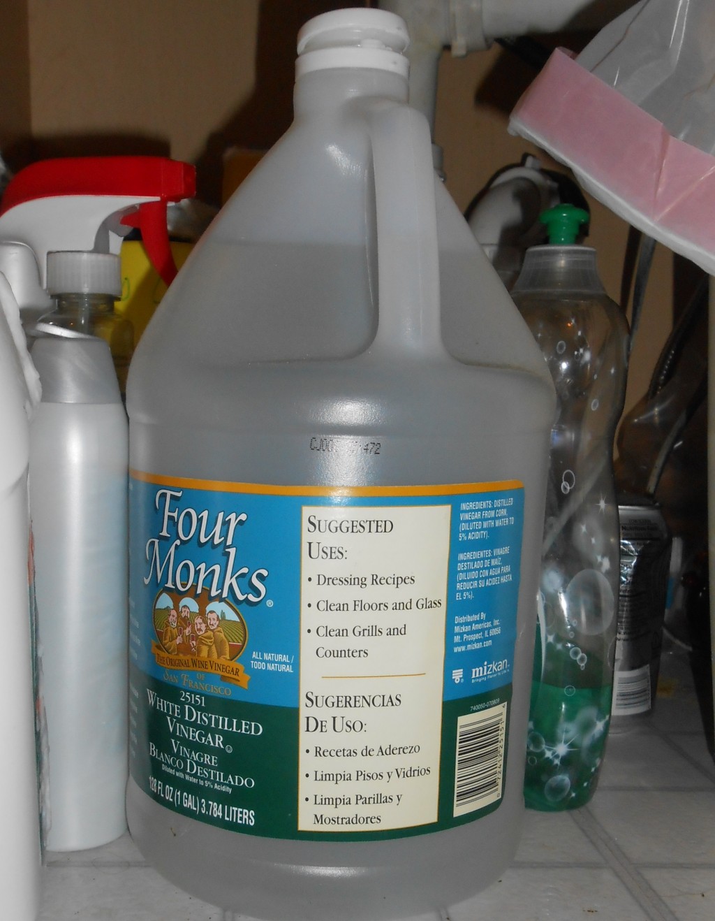 How to Get Rid of Ants in Your Home Including Safe, Natural Methods