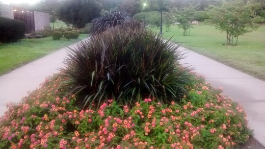 Seasonal flower gardens keep Loose Park in full bloom most of the year.