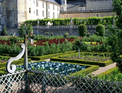 Part of the vegetable garden, decorative and immaculate