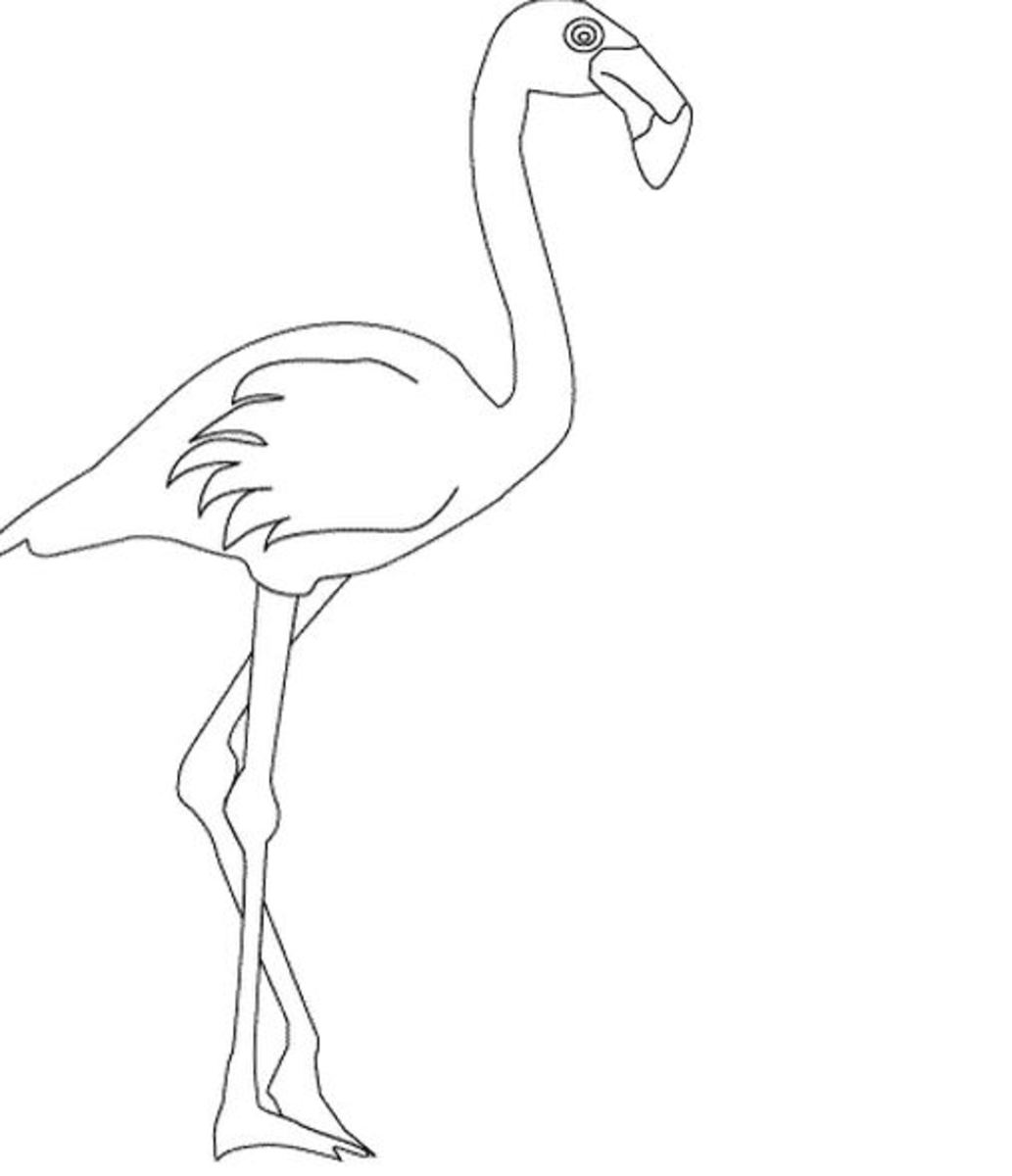 Flamingo digital stamp