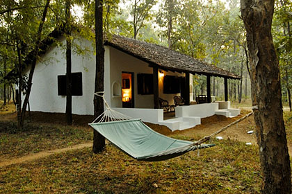 Jungle Camp at Kanha 