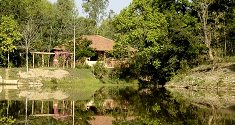 Tented Camp at Mukki - Kanha National Park 
