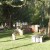 Graveyard Inside The Huguenot Cemetery St Augustine Florida Graveyard Inside The Huguenot Cemetery St Augustine Florida