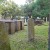 Graveyard Inside The Huguenot Cemetery St Augustine Florida Graveyard Inside The Huguenot Cemetery St Augustine Florida
