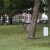 Graveyard Inside The Huguenot Cemetery St Augustine Florida Graveyard Inside The Huguenot Cemetery St Augustine Florida
