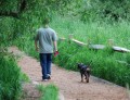 5 Places to Go with Your Dog in Redmond, Washington
