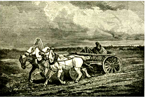 A three horse cart and wagon which was the way wagons were set up.