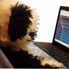 AlexBr profile image