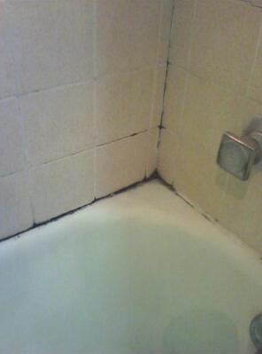 Remove excess moisture and prevent dangerous black mold from forming.
