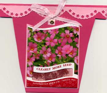 Hand made greeting card in shape of a flower pot, with a shaker box containing "seeds".