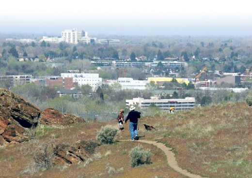 Boise Foothills facing city.  Image from Google Images