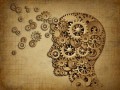 How to Improve Memory Power and Concentration Naturally at Home