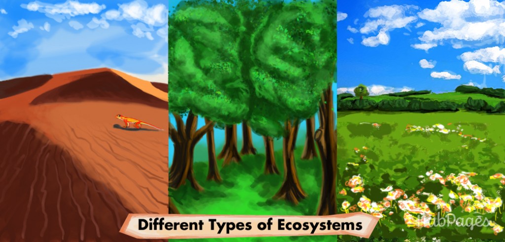 different-types-of-ecosystems-natural-and-artificial-ecosystems-hubpages