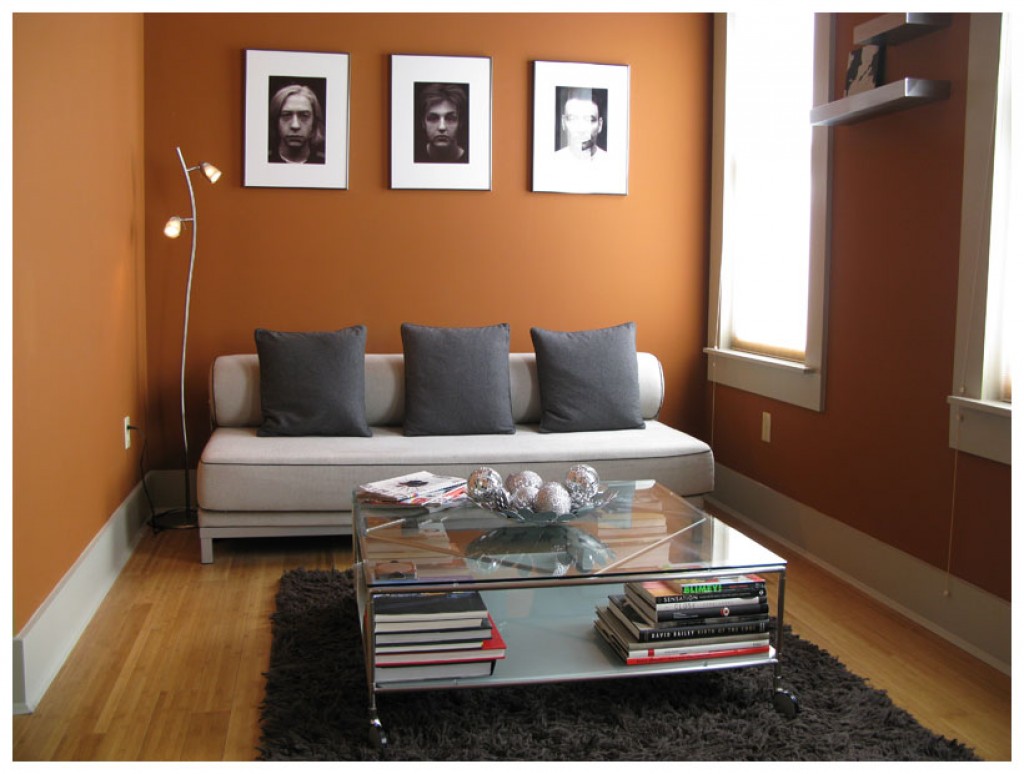  Cheap  Decorating Ideas  for a Small  Apartment Living  Room s  